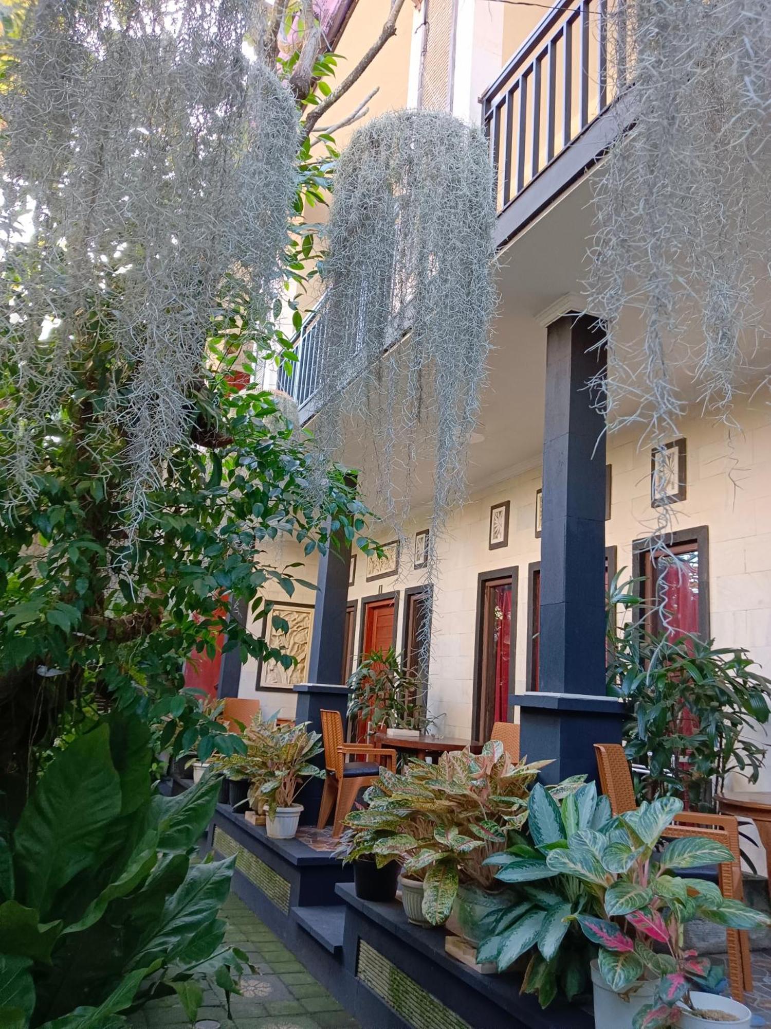 Double N Guesthouse Sanur  Exterior photo