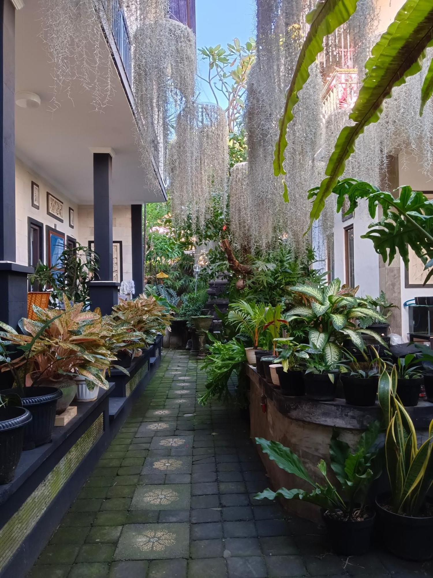 Double N Guesthouse Sanur  Exterior photo